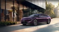 中国电子消息行业结合会从