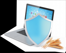 食物是人类能量、健康和幸福的起点